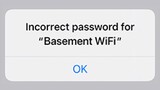 When You Ask for the WiFi Password...