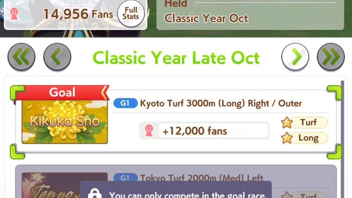 Mejiro McQueen Kikuka Sho G1 Run