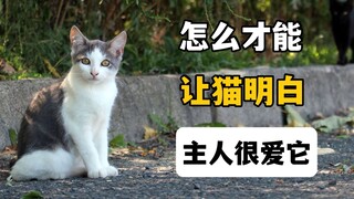 怎么才能让猫明白，主人爱它