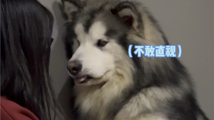 แม้แต่หมาก็ยังรู้ว่าเวลาผู้หญิงโกรธต้องง้อก่อน