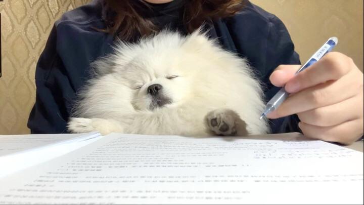 جفونك تذوب كالزبدة.