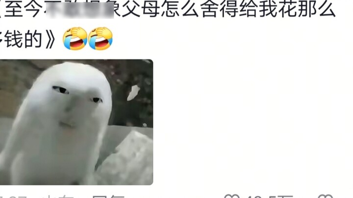 Bạn có nhận ra cha mẹ mình có quyền lực đến thế nào chỉ sau khi bạn bắt đầu đi làm không?