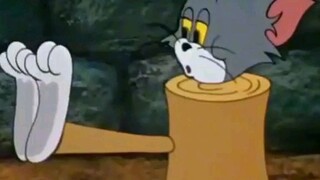 (TikTok Jerry and tom)  Orange and tom | TV kids