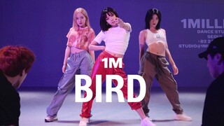 【1M合作】Apink金南珠《Bird》Yeji Kim x Youjin Kim编舞 Lia Kim监制