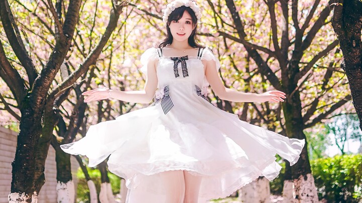 【ออกแบบท่าเต้นต้นฉบับ】ซากุระ ซากุระ อยากเจอเธอ – เวอร์ชันเต้นล้วน 【Miaopu-chan】