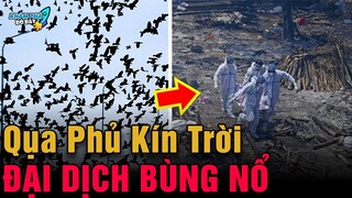 ✈️  7 Hiện Tượng Thần Bí Chấn Động Ở Trung Quốc Chắc Chắn Bạn Chưa Hề Hay Biết | Khám Phá Đó Đây