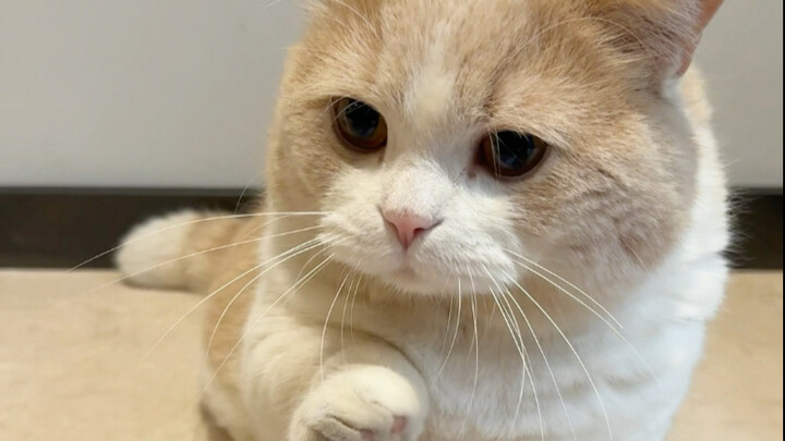 Đối với anh trai thì chuyện này có gì khó đâu!