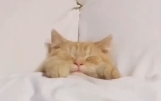 It only takes 3 seconds to lull you to sleep!