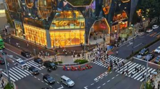 ✨ Harajuku’s Omotesando Crossing — Tokyo’s Champs-Élysées 🇯🇵 #Harajuku #Omotesando #TokyoTravel