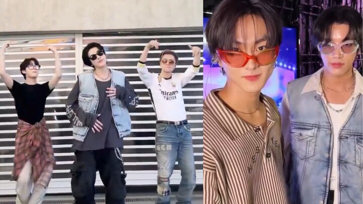 All Members Bking: Recent ENHYPEN TikTok Challenge Compilation