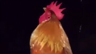 Kawawa naman alamin kung bakit