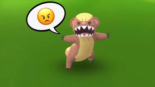 Why so Angry? Catching Yungoos from Alola Region