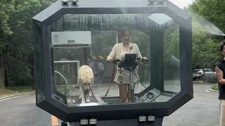 Aplikasi dog walker saat hujan yang telah ditonton 30 juta orang telah diperbarui ke versi 2.0.