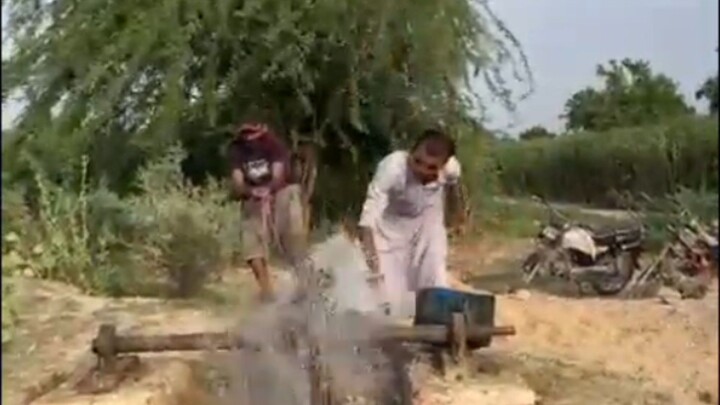 令人惊叹的农业种植技术 🌾🚜