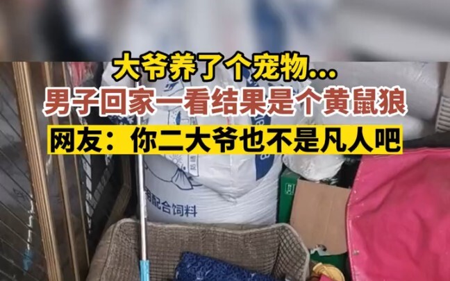 قال العم الثاني إنه يربي حيوانًا أليفًا... فعاد الرجل إلى المنزل ليكتشف أنه هوانغ داكسين! #