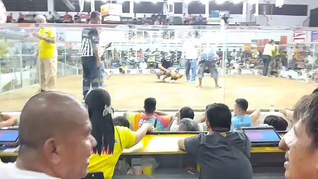 walang sugat sa pangawalang Laban...