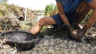 Rủ Đi Bắt Cá Mà Mọi Người Ai Cũng Bận - 7 Ân - batca #4