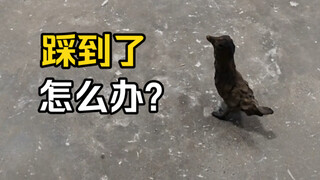 当你在看展时差点儿踩坏一件艺术品