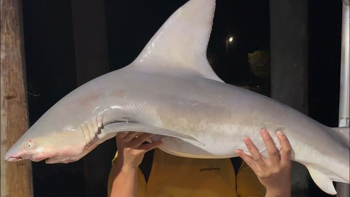 Mulai hari ini, aku juga termasuk orang yang pernah makan ikan hiu acar mentah!