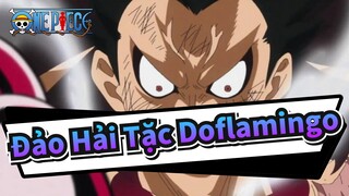 [Đảo Hải Tặc/AMV] Trận đấu với Doflamingo--- Đúng là một cú đấm đẹp