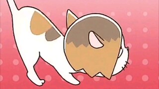 [Bóng chuyền nhỏ] mài mèo