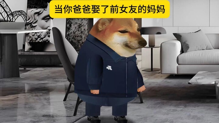当你爸爸娶了前女友的妈妈