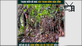 cuộc sống trong rừng phần cuối