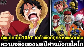 อัพเดทเต็มวันพีช1067 - ความจริงของผลปีศาจมังกรในตำนานไคโด & เวก้าพังค์ทุกร่างพร้อมรบ [KOMNA CHANNEL]