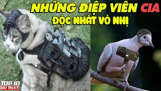 BẬT MÍ 10 Dụng Cụ Điệp Viên Cực ĐỘC ĐÁO Từng Được CIA Sử Dụng ➤ Top 10 Sự Thật Thú Vị