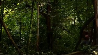Шанбе (5) 10