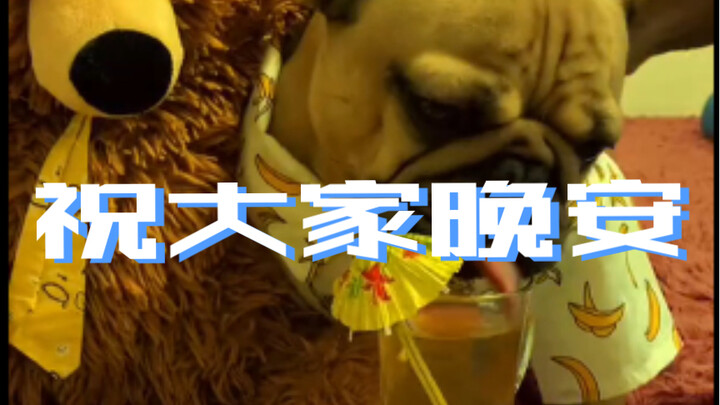 Wishing you all good night—may your dreams be full of everything!