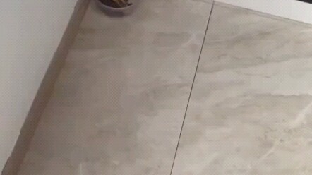 You’re a real-born baby!