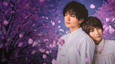 Love Like the Falling Petals - Japanese Movie (Eng sub)