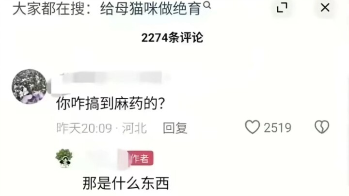 Ở khu mèo nhỏ cố nghĩ cách cũng không bằng ở khu yêu mèo chợt nảy ý hay