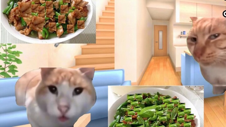 【Cat meme】Parental love grows in every ordinary day.