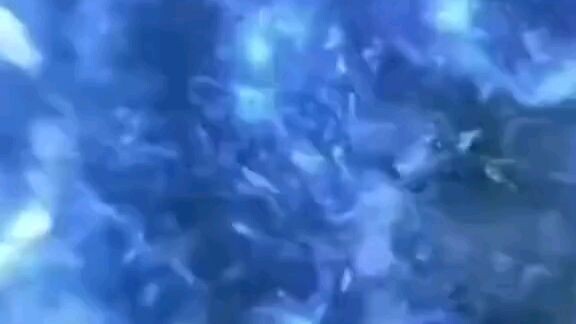 membahas akhir kodok petir milik wang lin @# renegade immortal