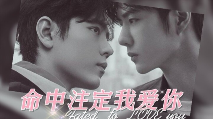 الحلقة 23 من "قدرنا أن نحب بعضنا" | زان شان وي وانغ | نهاية سعيدة نقية | حلوة ومؤلمة | ABO مع إنجاب 