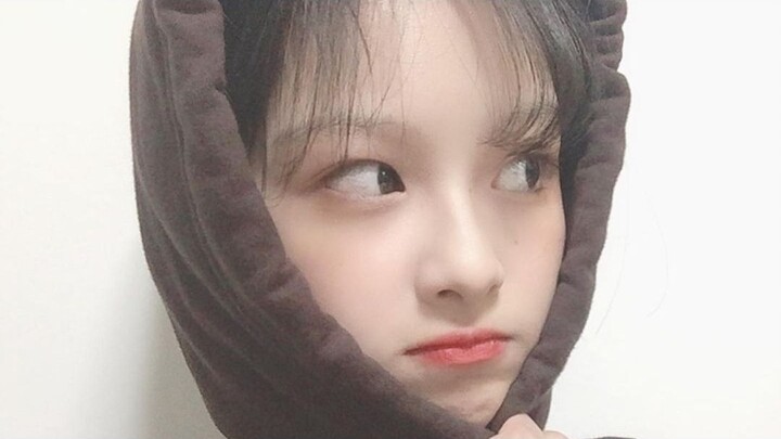 Ada yang belum pernah lihat klip anak kucing main gitar ini? NMIXX Seolyun