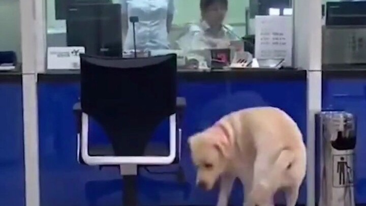 Điều bạn nói tôi không hiểu, còn điều tôi nói thì bạn cũng chẳng hứng thú — đó chính là khoảng cách 