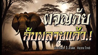 ผจญไพรกับพลายแก้ว! (ตอนเดียวจบ)