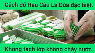 Cách đổ rau câu lá dứa đặc biệt không tách lớp không chảy nước