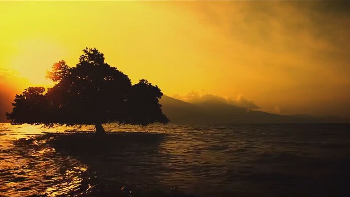 Tengelam ya kapal Van der wijck