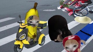 香蕉猫看热闹，结果自己变成了热闹