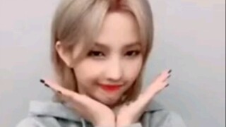 (G)I-DLE官方tik tok更新昭妍、雨琦为PENTAGON新歌应援视频