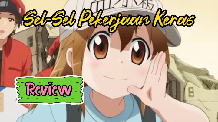 Sel Marah & Putih Penyelamat | Review