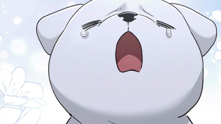 [(Latest) Don't Mess with the Puppy Side Story 5] The puppy is afraid of being abandoned by the wolf