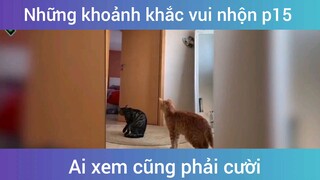 Những khoảnh khắc vui nhộn p15