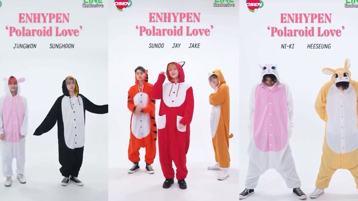 【ENHYPEN】220607-0610 [ไลฟ์สด VOOM] OSEN kpop | ท้าทายโพลารอยด์รักฉบับชุดนอนสัตว์ รวมคลิปทุกคน