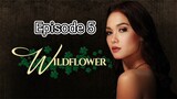 wildflower episode 5 full episodes // English sub//Philippines //
