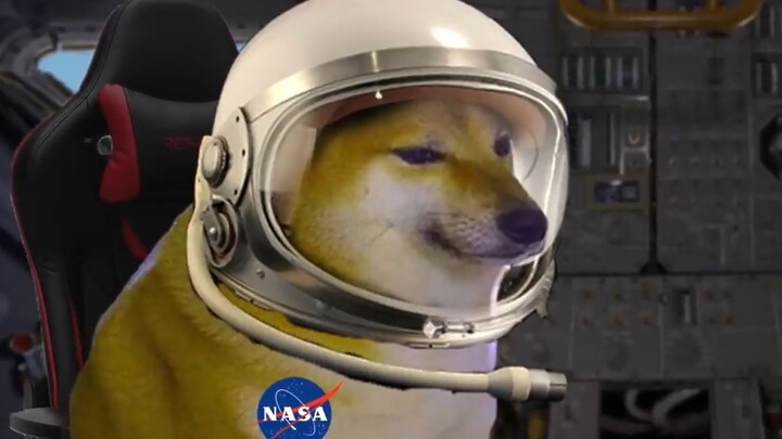 cheems狗要当宇航员 （Cheems Dog Goes To The Moon）